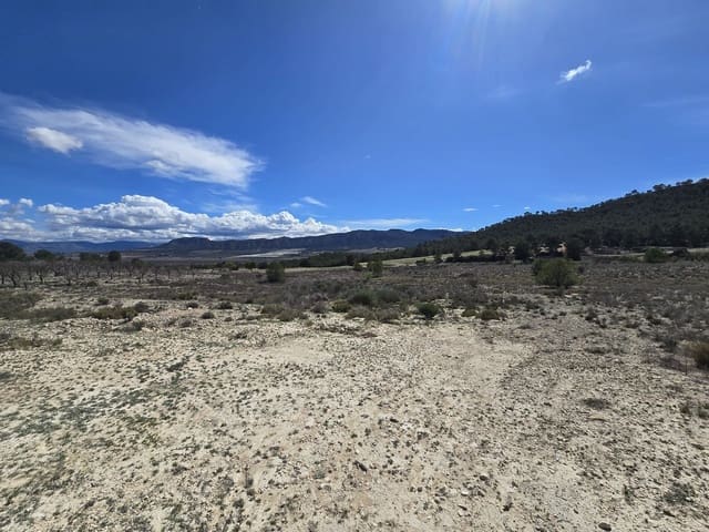 Terreno Non Edificato in vendita in Salinas - 39.995 € (Rif: 9904912)