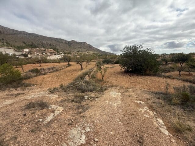 Undeveloped Land for sale in La Romana - € 12,000 (Ref: 9904914)
