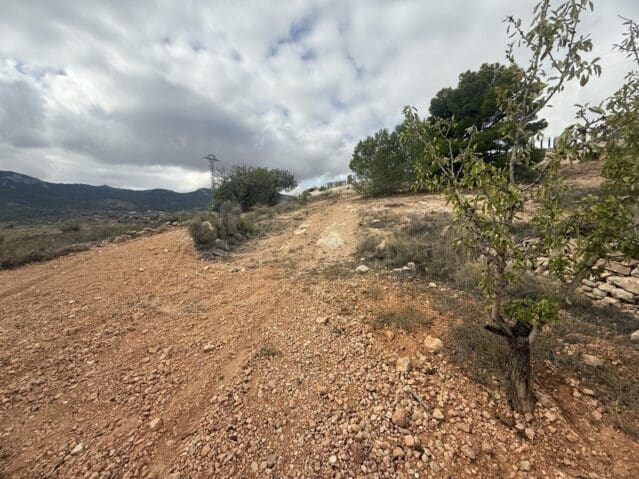 Undeveloped Land for sale in La Romana - € 12,000 (Ref: 9904914)