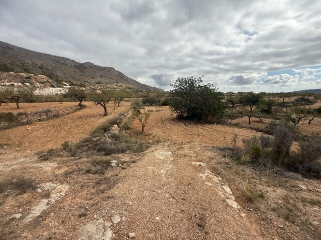 Undeveloped Land for sale in La Romana - € 12,000 (Ref: 9904914)
