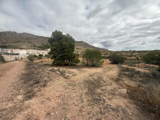 Undeveloped Land for sale in La Romana - € 12,000 (Ref: 9904914)