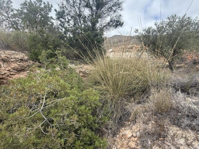 Undeveloped Land for sale in La Romana - € 12,000 (Ref: 9904914)