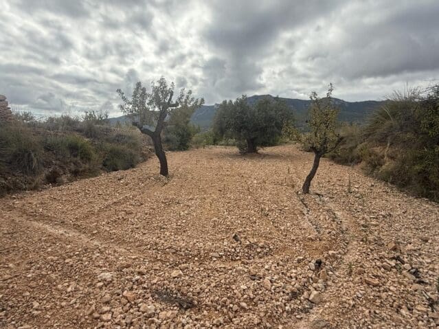 Undeveloped Land for sale in La Romana - € 12,000 (Ref: 9904914)