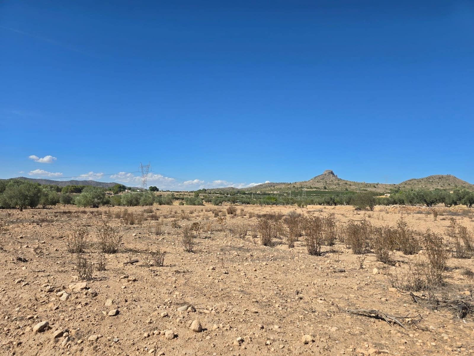 Terre non Aménagée à vendre à Salinas - 33 500 € (Ref: 9904915)