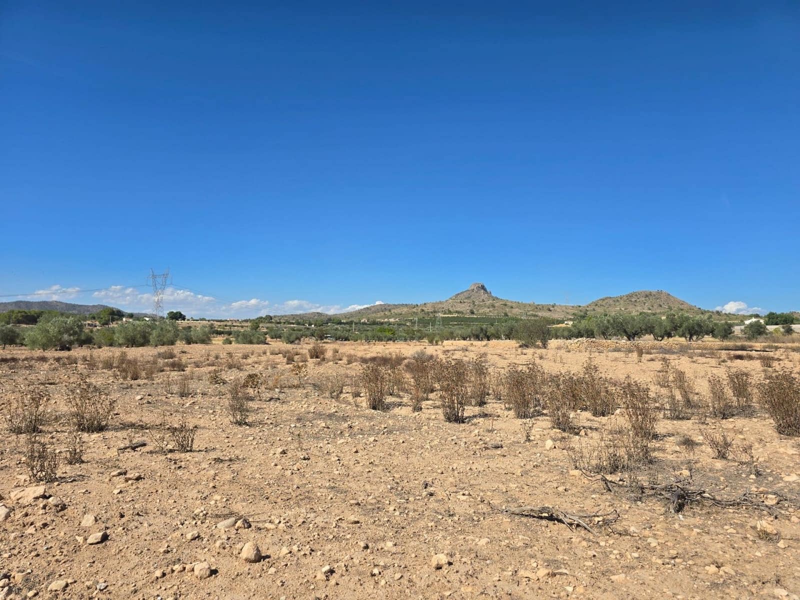 Terre non Aménagée à vendre à Salinas - 33 500 € (Ref: 9904915)