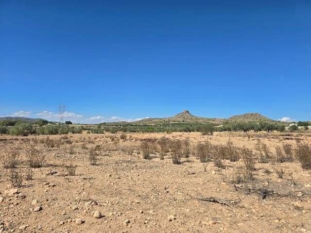 Terreno/Finca Rústica en Salinas en venta - 33.500 € (Ref: 9904915)