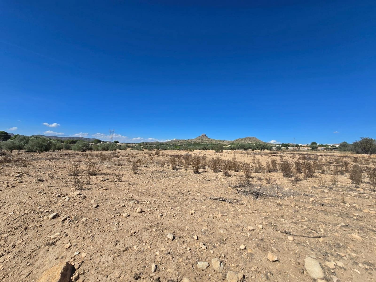Terre non Aménagée à vendre à Salinas - 33 500 € (Ref: 9904915)