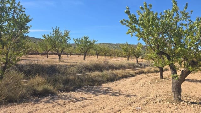 Mark till salu i Salinas - 52 500 € (Ref: 9904916)
