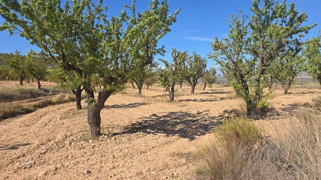 Mark till salu i Salinas - 52 500 € (Ref: 9904916)
