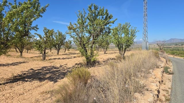 Mark till salu i Salinas - 52 500 € (Ref: 9904916)