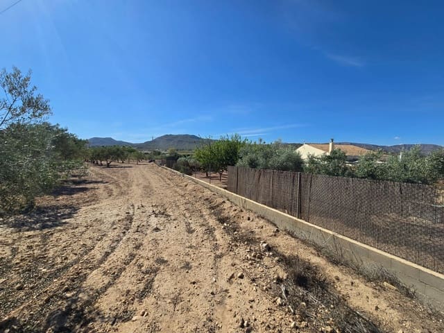 Terre non Aménagée à vendre à Salinas - 60 500 € (Ref: 9904917)