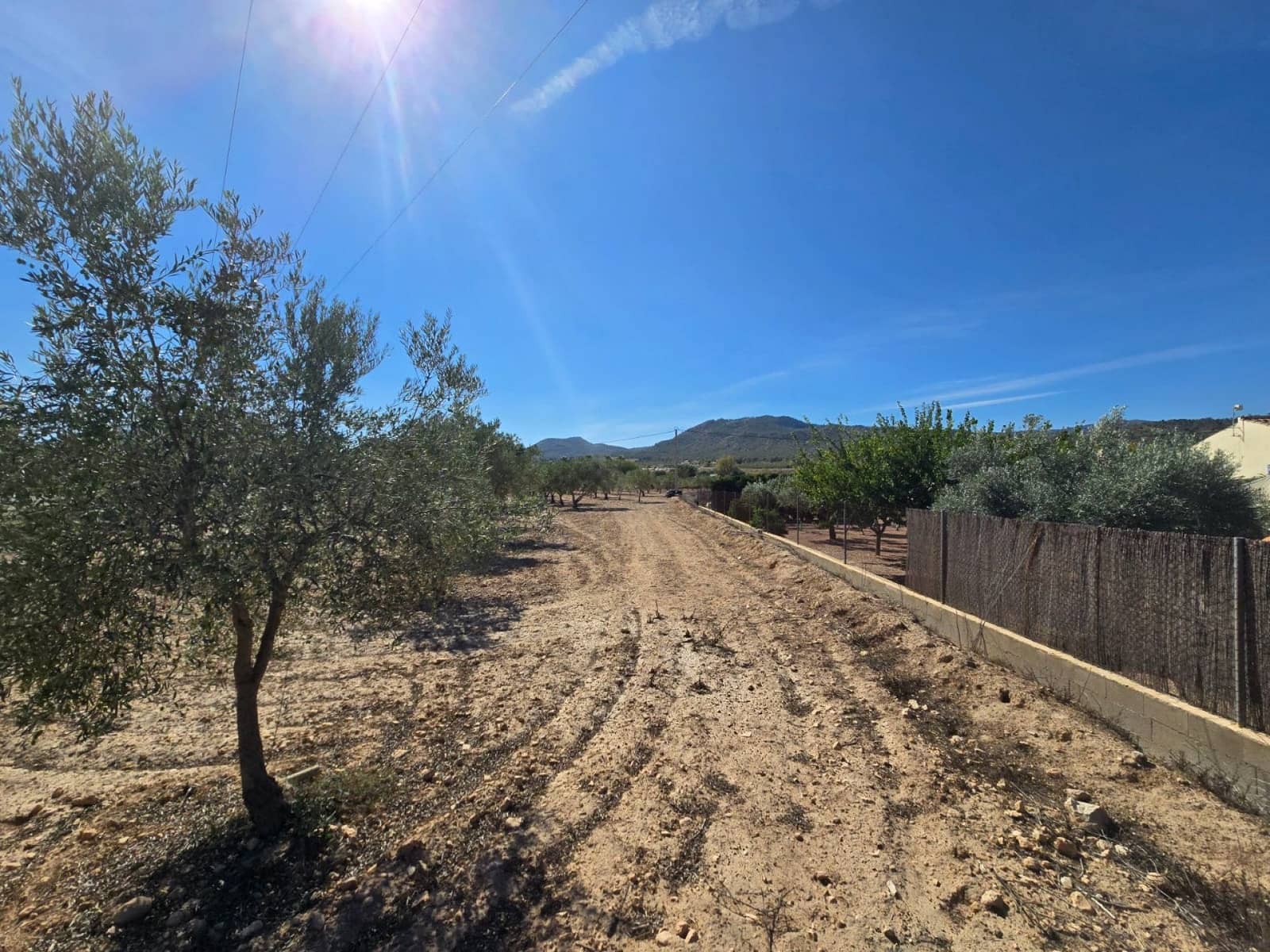 Terre non Aménagée à vendre à Salinas - 60 500 € (Ref: 9904917)