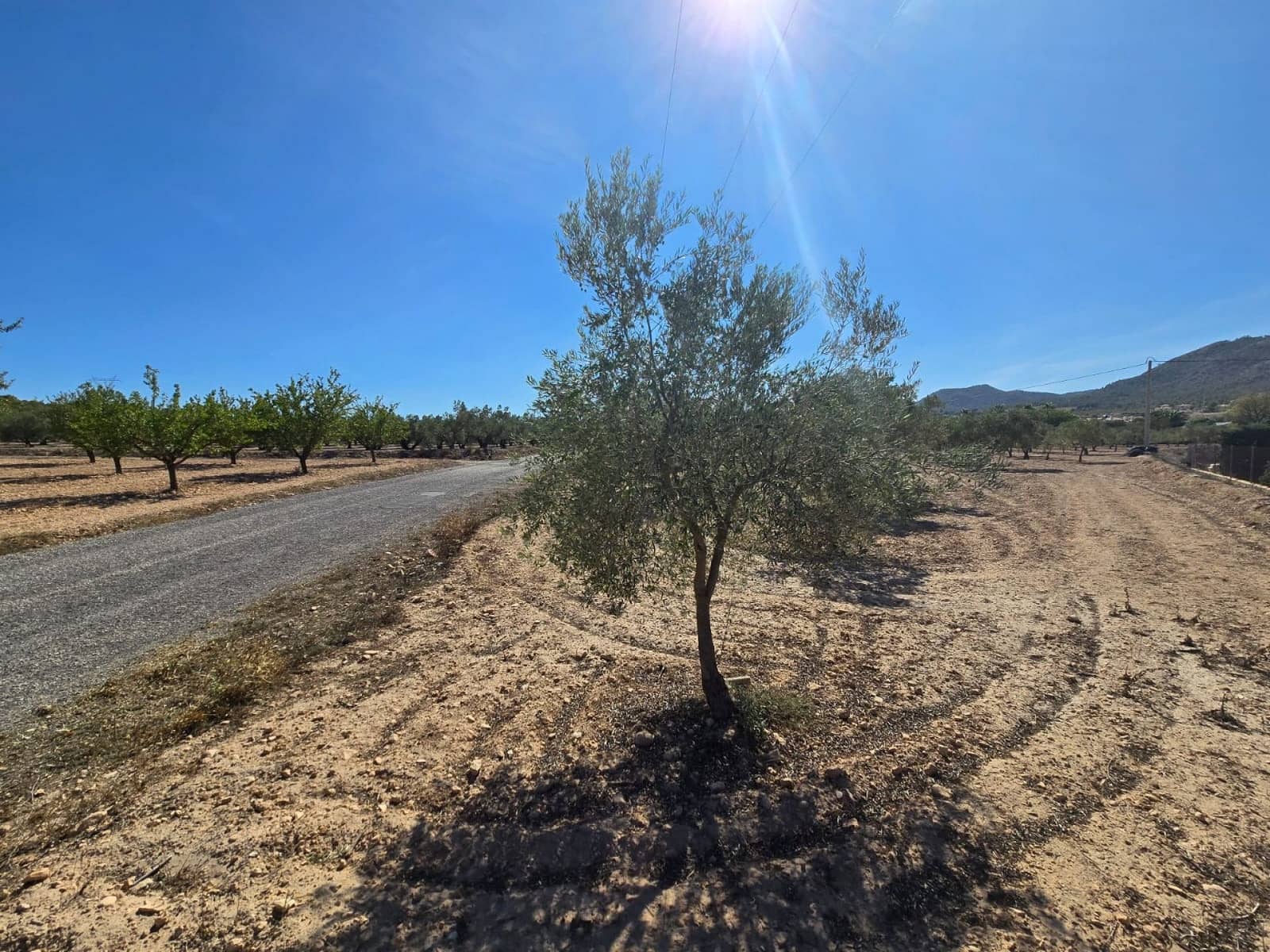 Terre non Aménagée à vendre à Salinas - 60 500 € (Ref: 9904917)
