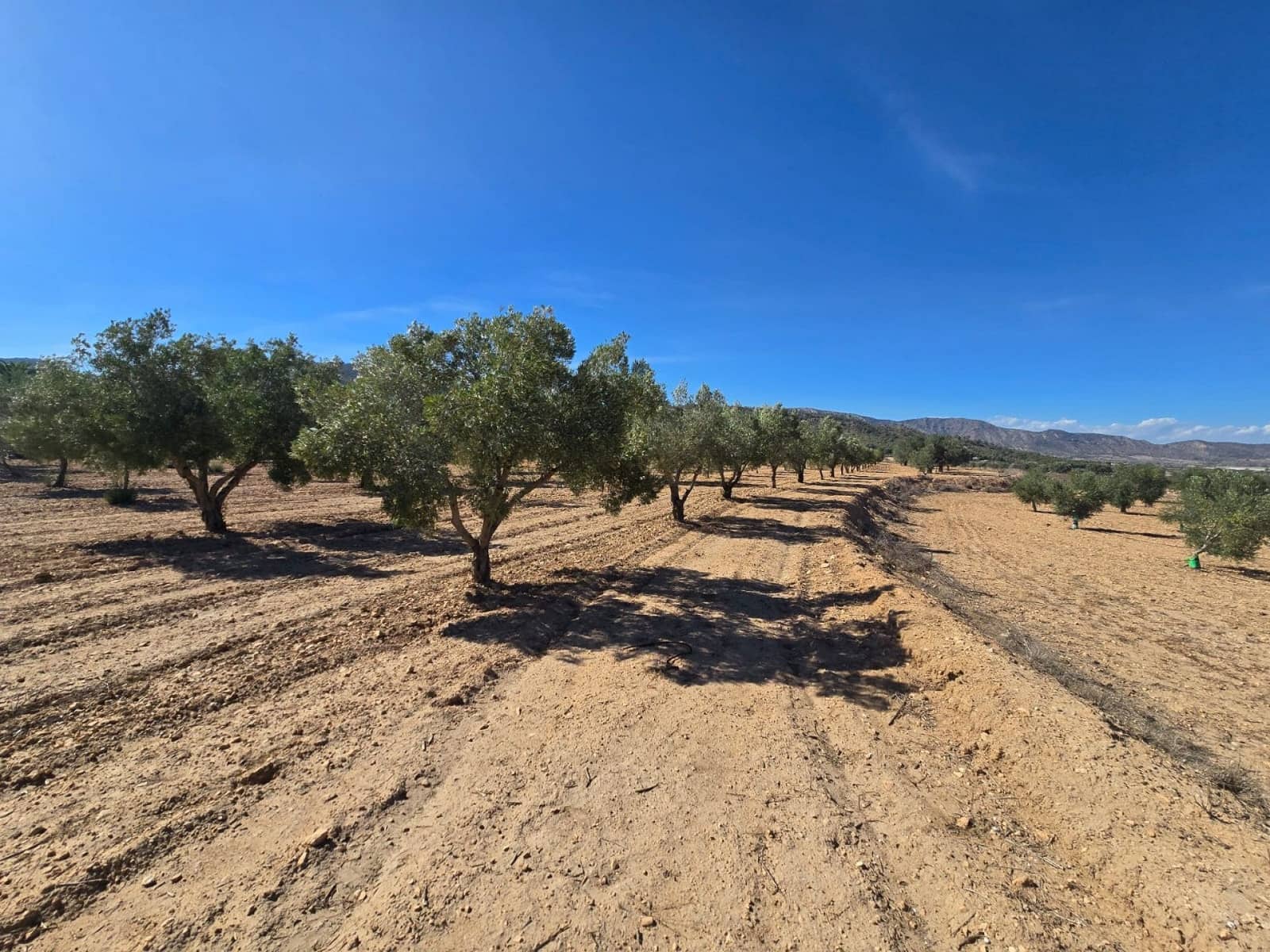 Terre non Aménagée à vendre à Salinas - 60 500 € (Ref: 9904917)