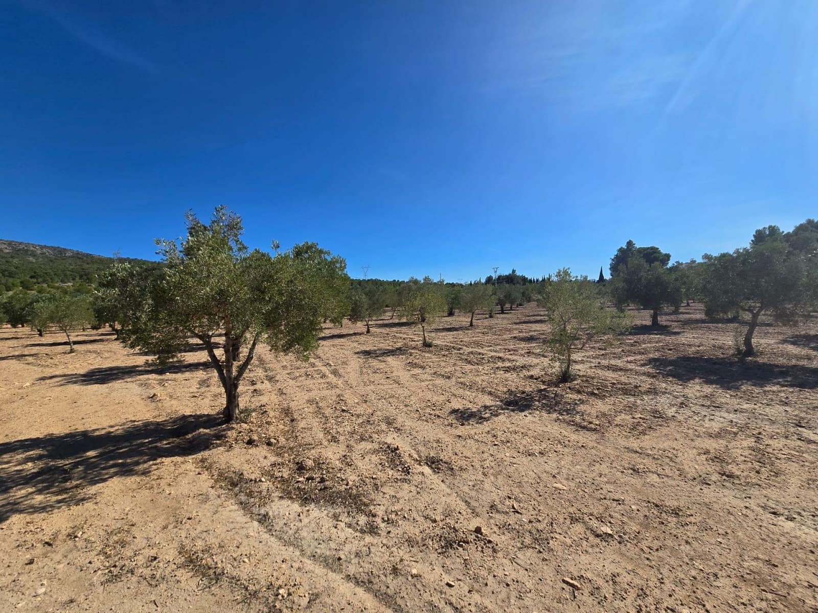 Terre non Aménagée à vendre à Salinas - 60 500 € (Ref: 9904917)
