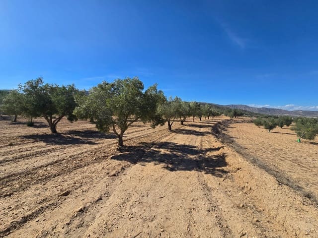 Terre non Aménagée à vendre à Salinas - 60 500 € (Ref: 9904917)