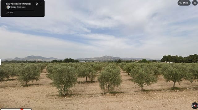 Undeveloped Land for sale in Sax - € 140,000 (Ref: 9937366)