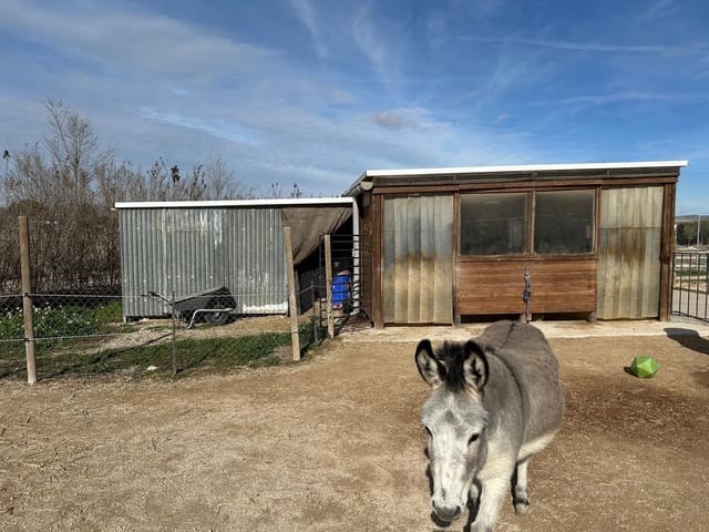 5 makuuhuone Huvila myytävänä paikassa Villena mukana uima-altaan - 299 950 € (Ref: 9941606)