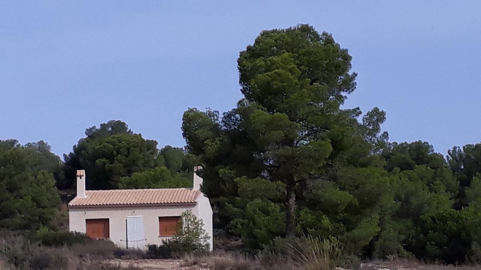 2 soveværelse Finca/Landehus til salg i Pinoso med swimmingpool - € 135.000 (Ref: 9958893)