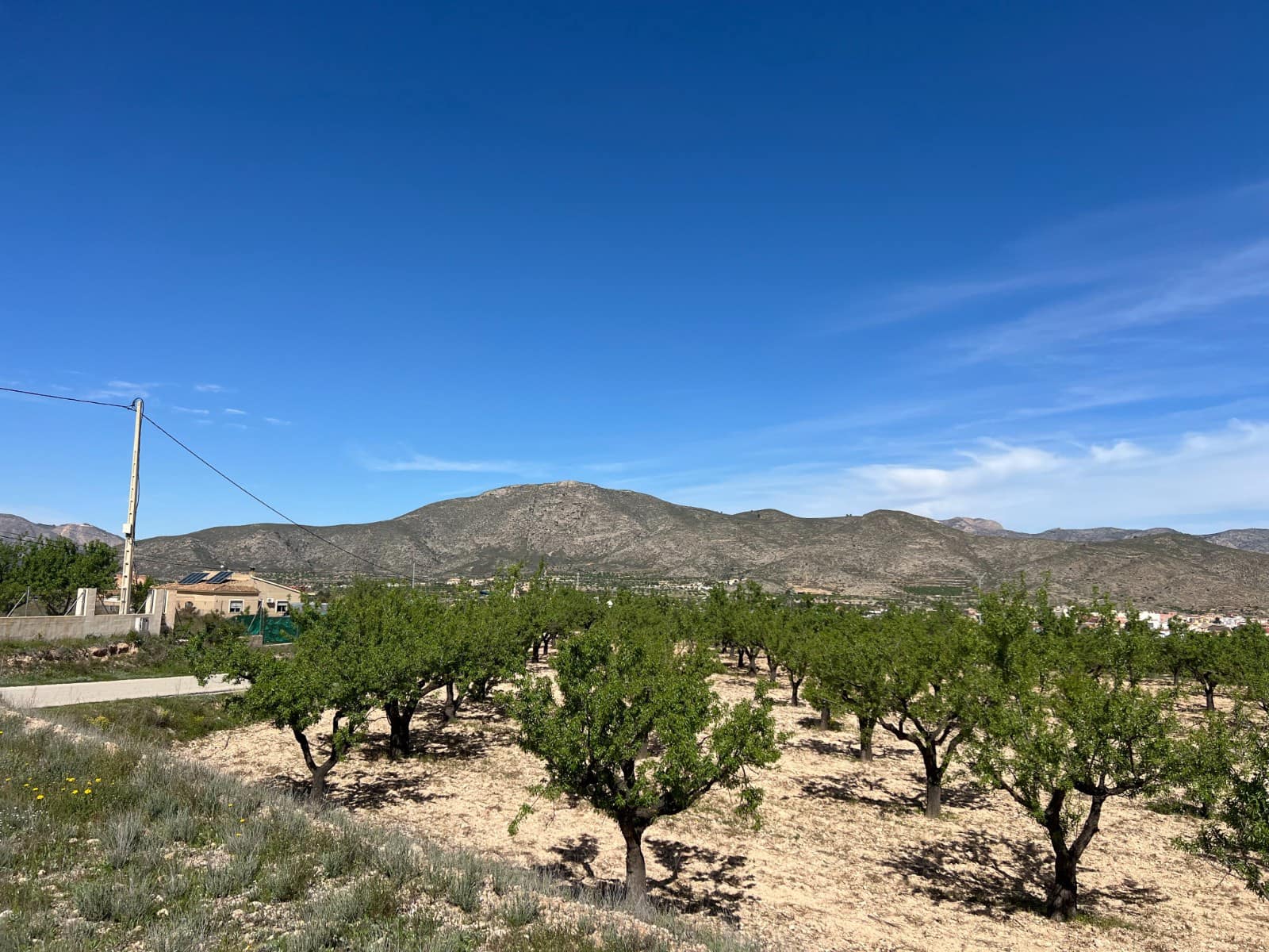 Bauplatz zu verkaufen in Hondon de los Frailes - 46.000 € (Ref: 9986183)