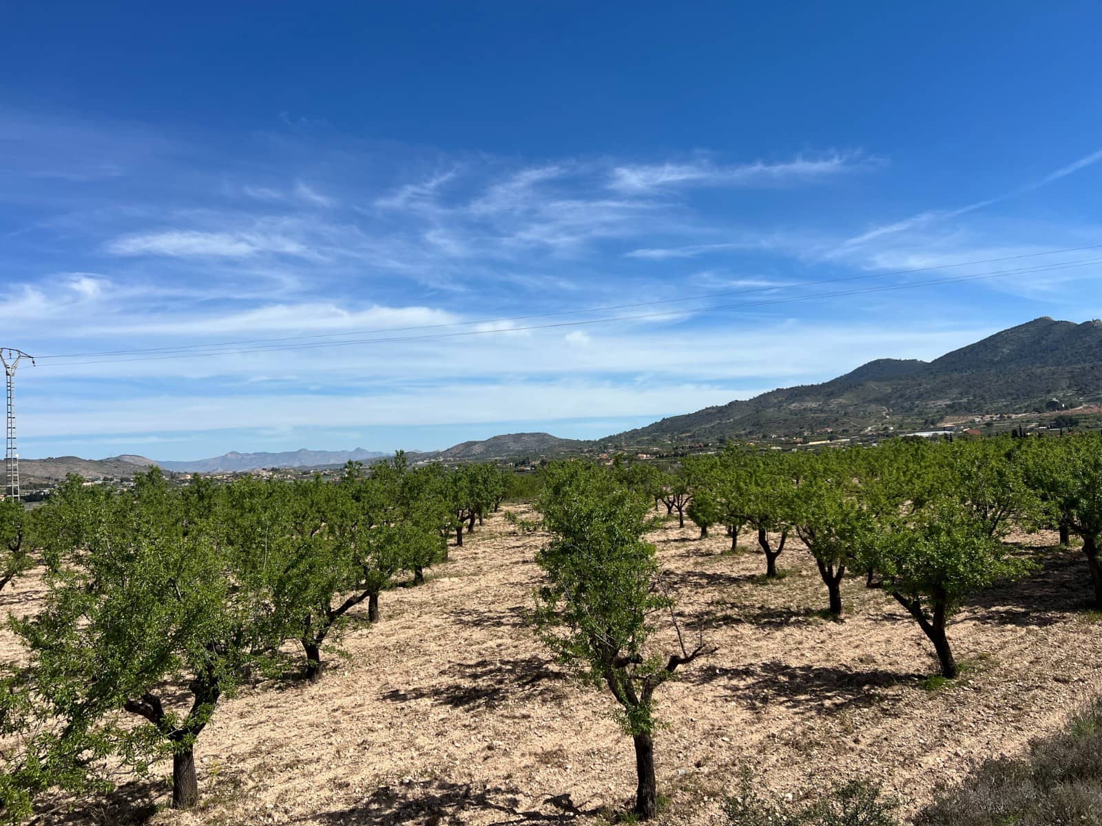 Bauplatz zu verkaufen in Hondon de los Frailes - 46.000 € (Ref: 9986183)