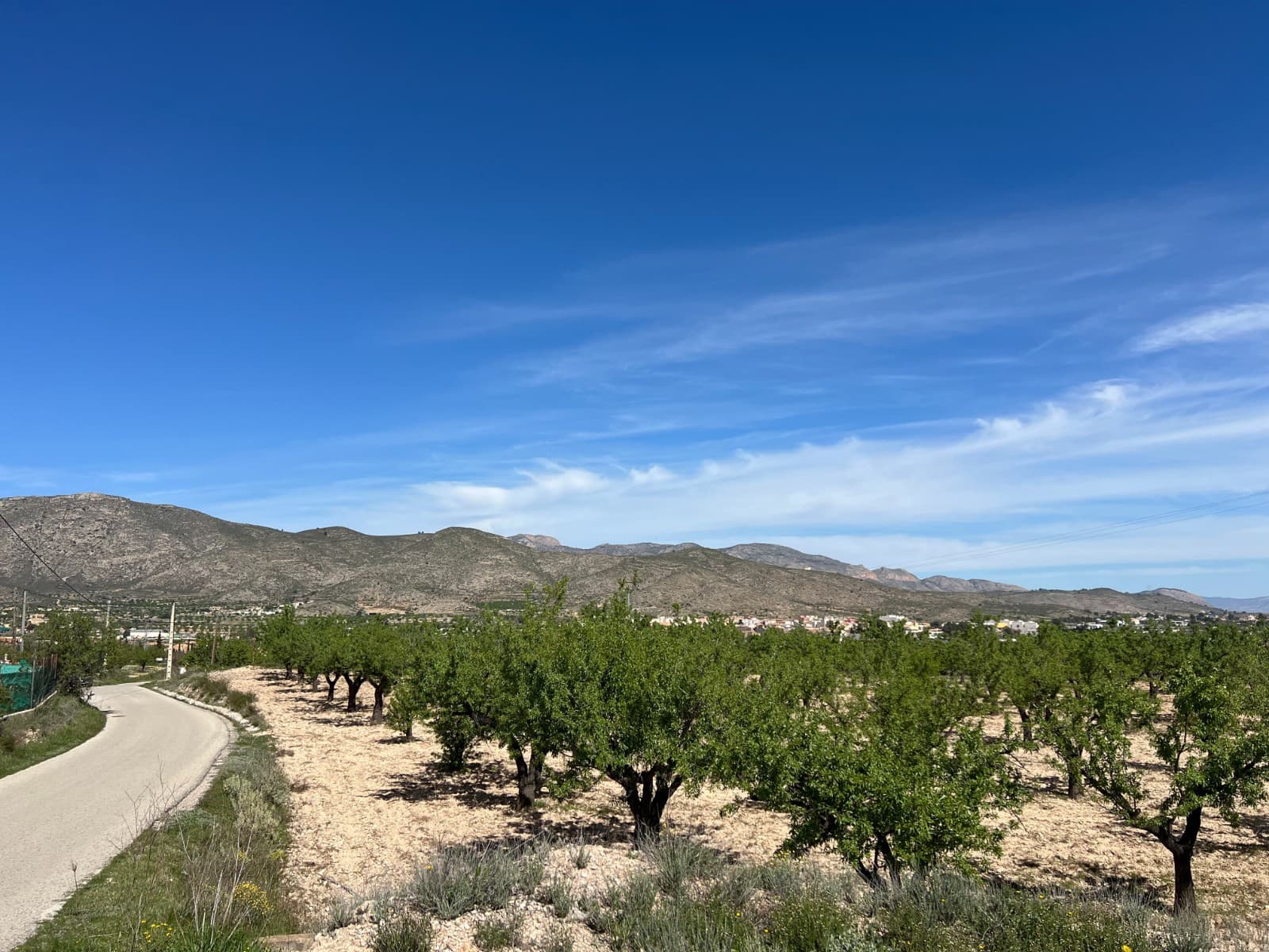 Bauplatz zu verkaufen in Hondon de los Frailes - 46.000 € (Ref: 9986183)