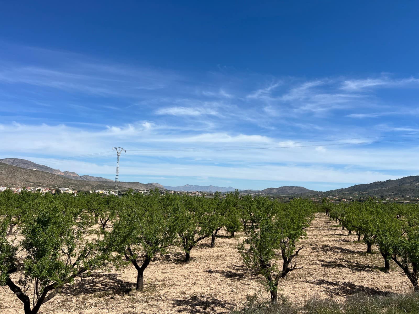 Bauplatz zu verkaufen in Hondon de los Frailes - 46.000 € (Ref: 9986183)
