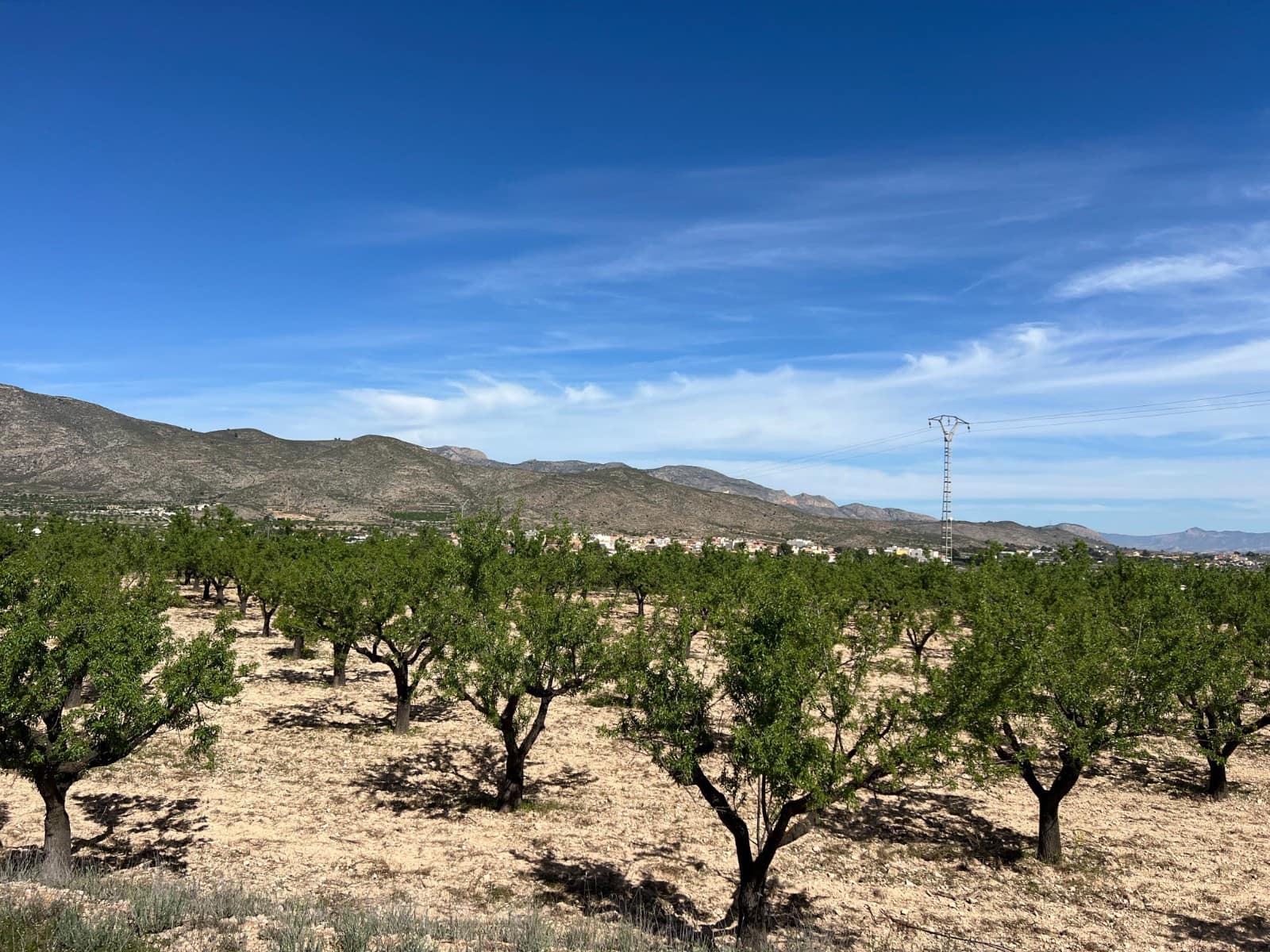 Bauplatz zu verkaufen in Hondon de los Frailes - 46.000 € (Ref: 9986183)