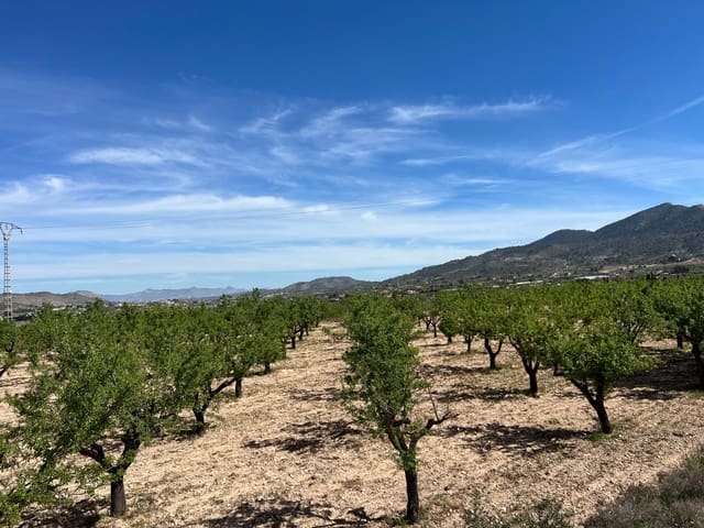 Solar/Parcela en Hondón de los Frailes en venta - 46.000 € (Ref: 9986183)