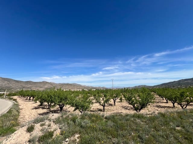 Solar/Parcela en Hondón de los Frailes en venta - 46.000 € (Ref: 9986183)