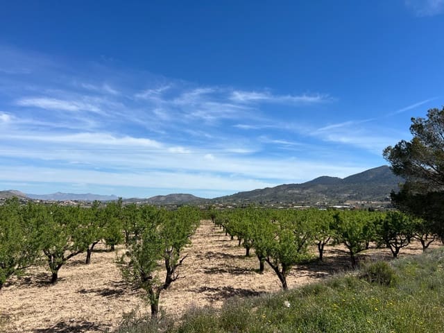 Solar/Parcela en Hondón de los Frailes en venta - 46.000 € (Ref: 9986183)