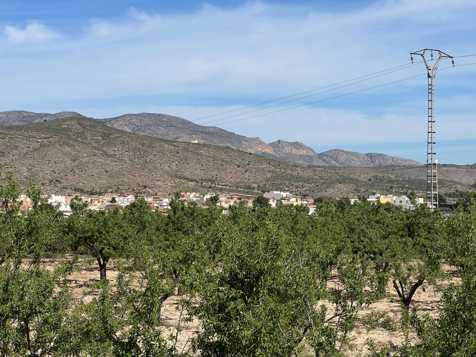 Bauplatz zu verkaufen in Hondon de los Frailes - 46.000 € (Ref: 9986183)