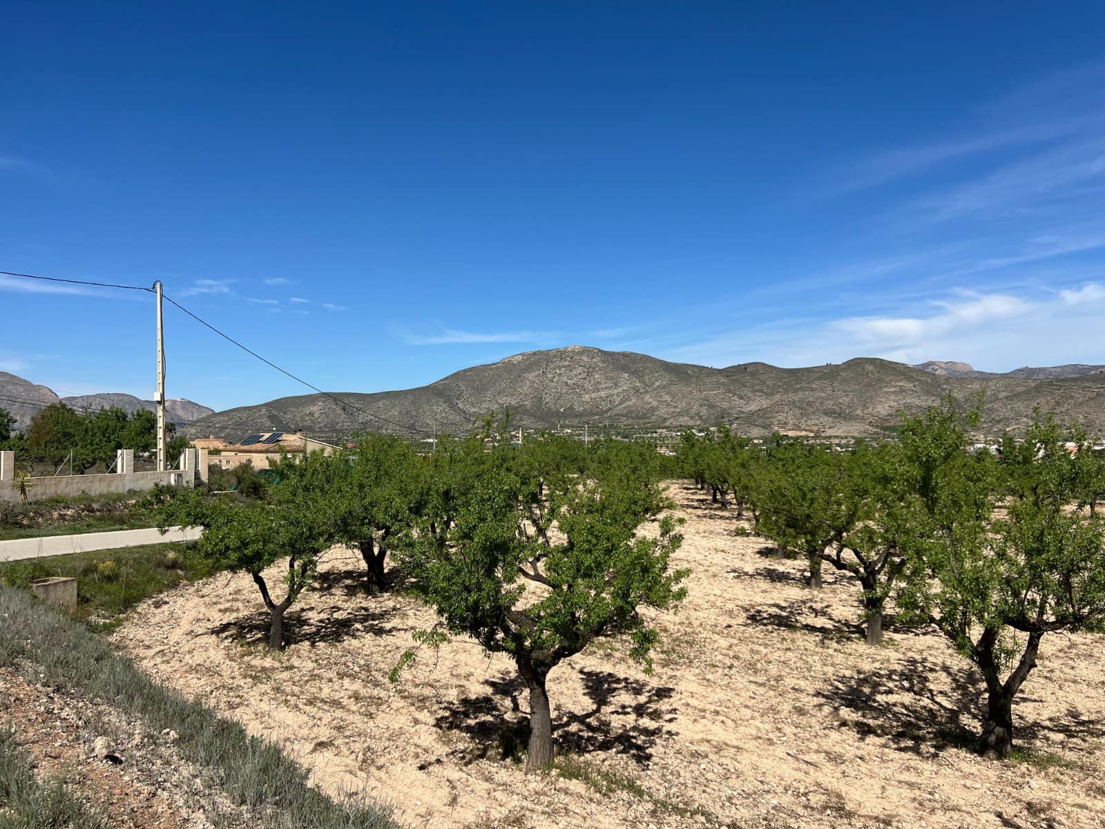 Bauplatz zu verkaufen in Hondon de los Frailes - 46.000 € (Ref: 9986183)