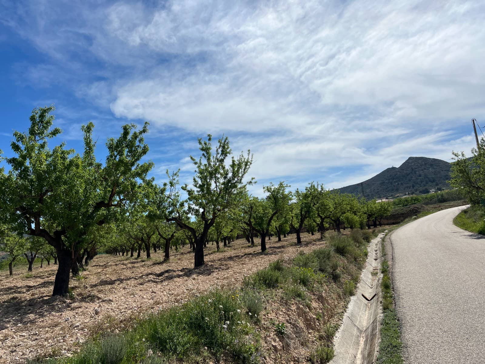 Bauplatz zu verkaufen in Hondon de los Frailes - 46.000 € (Ref: 9986183)