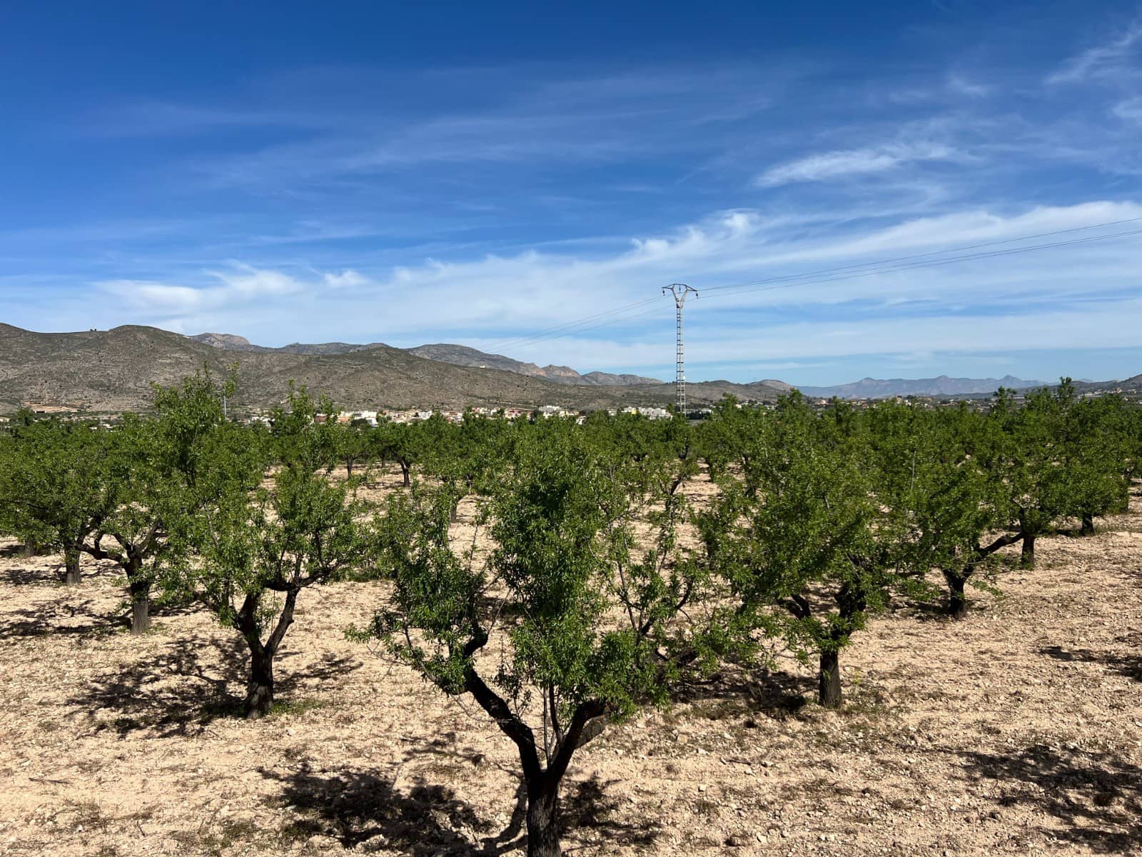 Bauplatz zu verkaufen in Hondon de los Frailes - 46.000 € (Ref: 9986183)