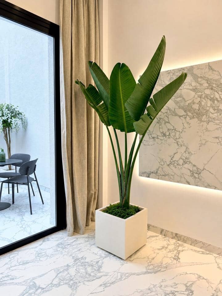 1 bedroom Flat for sale in Los Abrigos - € 291,000 (Ref: 10154270)