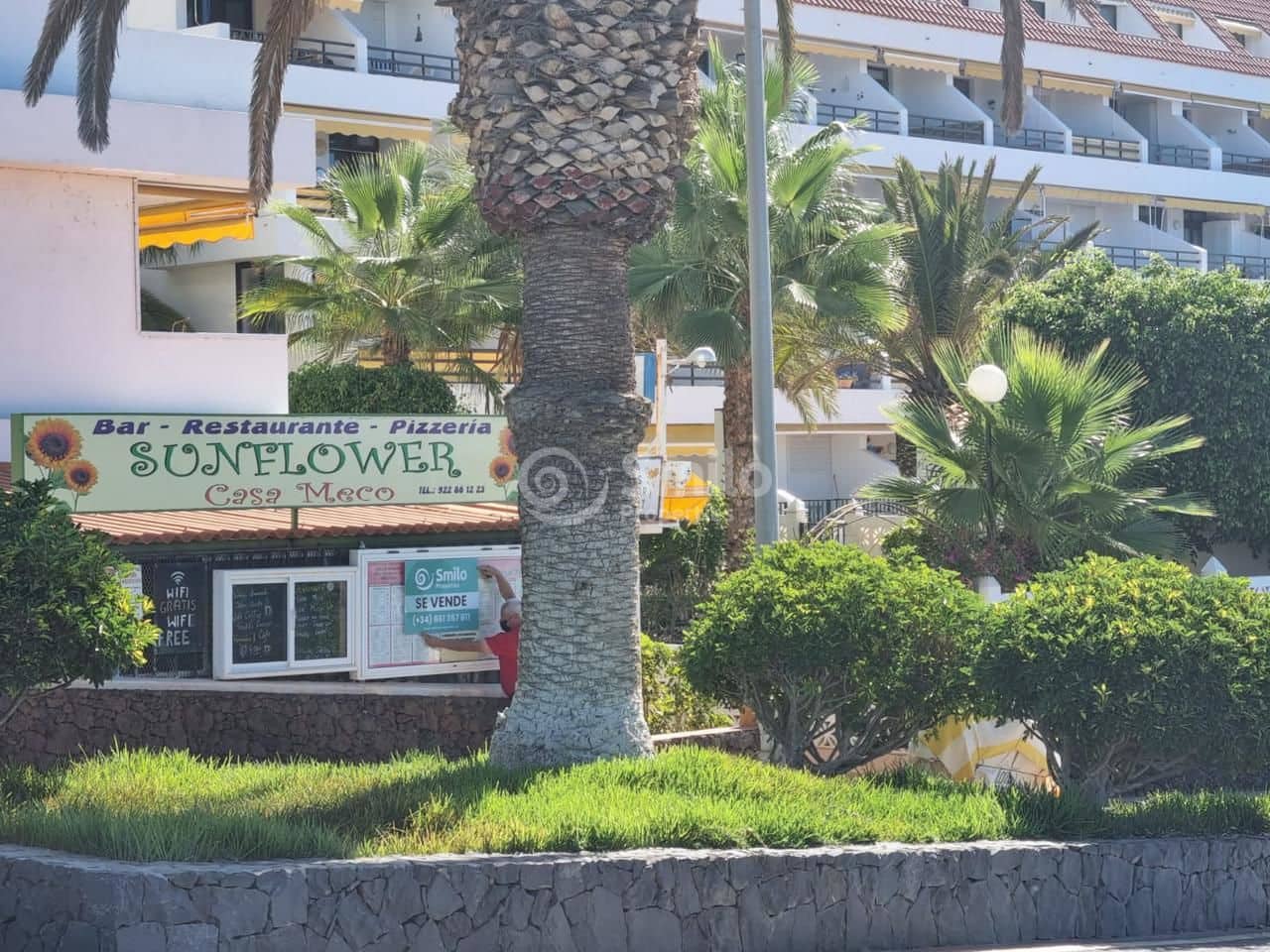 Business for sale in Guia de Isora with pool - € 325,000 (Ref: 6419034)