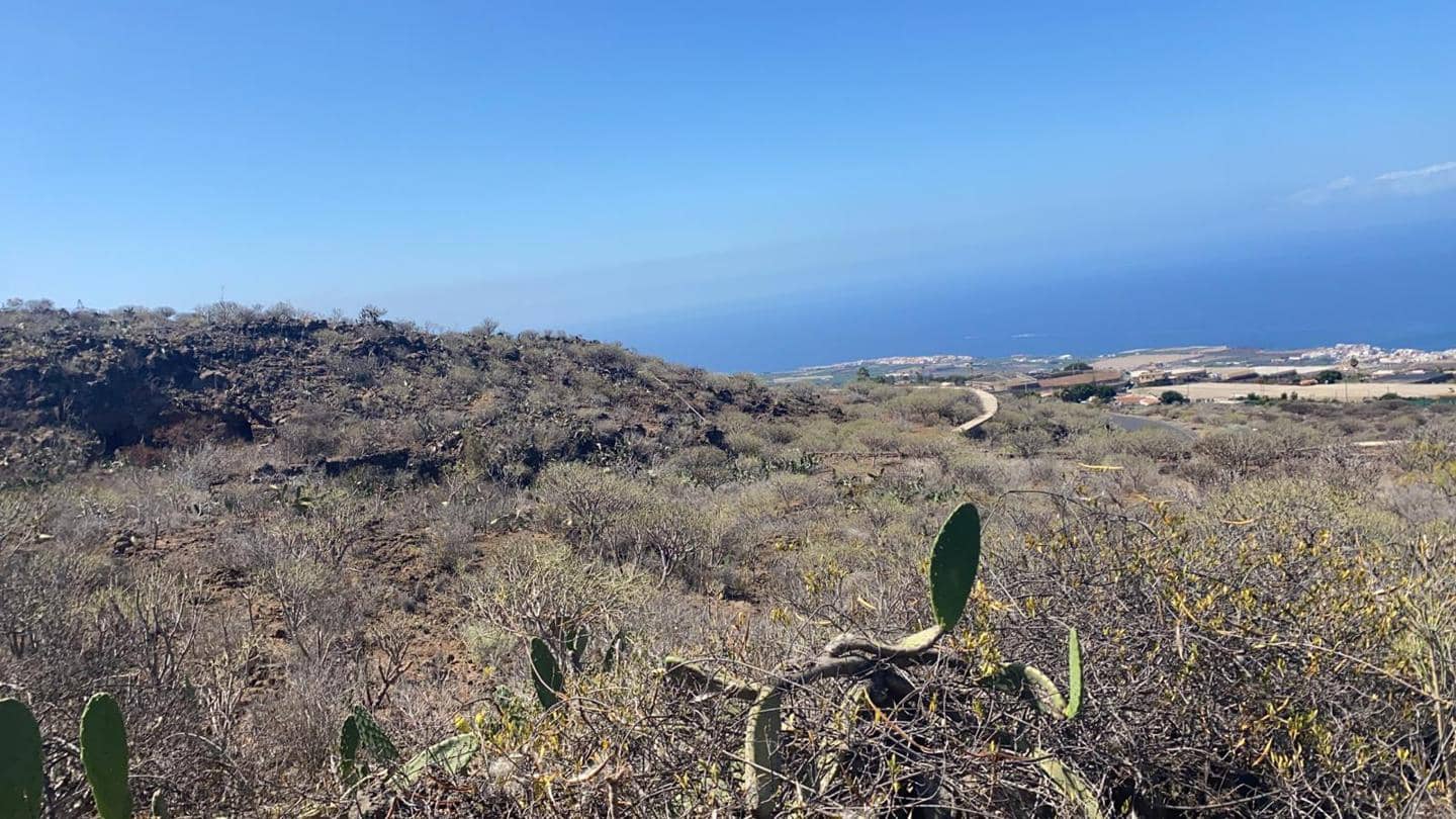 Undeveloped Land for sale in Adeje - € 480,000 (Ref: 6766968)