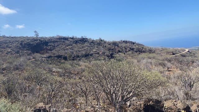 Teren niezagospodarowany na sprzedaż w Armeñime - Las Moraditas - Las Cancelas, Adeje - 480 000 € (Ref: 6766968)