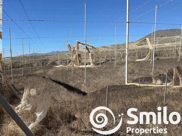 Undeveloped Land for sale in Tijoco, Adeje - € 650,000 (Ref: 8223023)