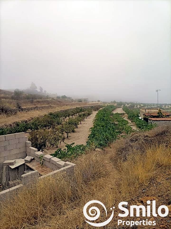 Terre non Aménagée à vendre à Granadilla de Abona - 60 000 € (Ref: 8456359)