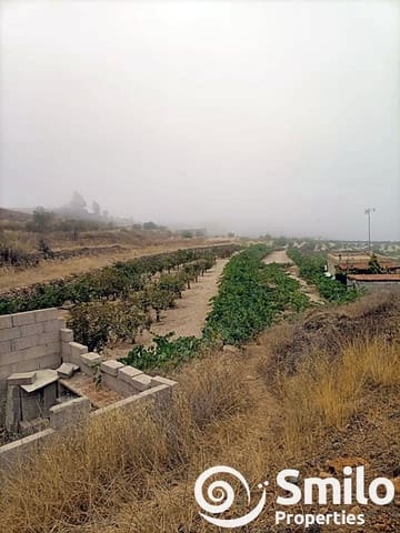 Terre non Aménagée à vendre à Granadilla de Abona - 60 000 € (Ref: 8456359)