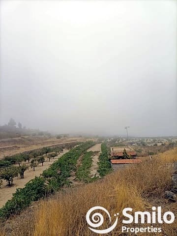 Terre non Aménagée à vendre à Granadilla de Abona - 60 000 € (Ref: 8456359)