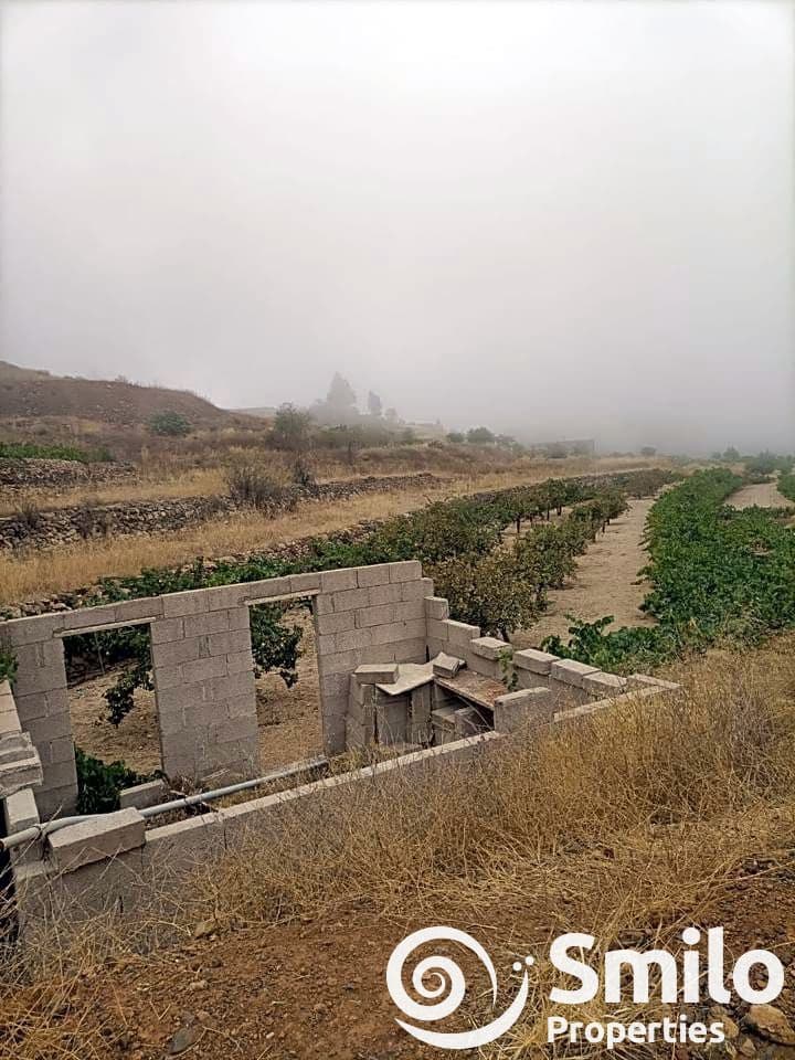 Terre non Aménagée à vendre à Granadilla de Abona - 60 000 € (Ref: 8456359)