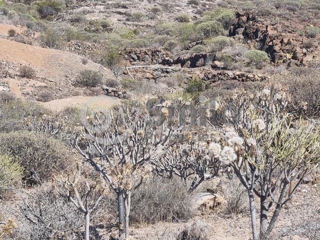 Terreno Non Edificato in vendita in Guía de Isora - 329.900 € (Rif: 8929467)