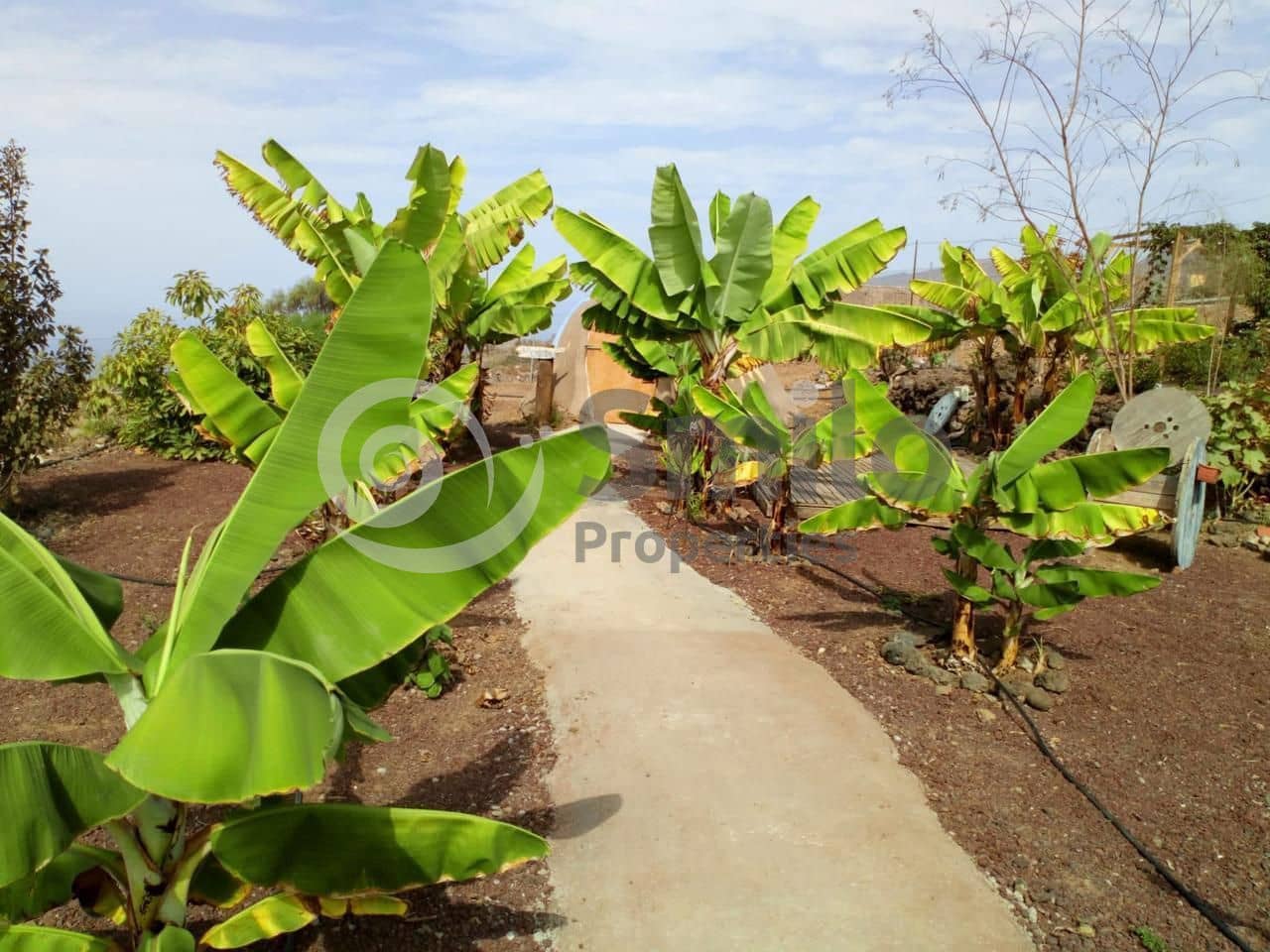 5 camera da letto Villa in vendita in Guia de Isora con piscina - 735.000 € (Rif: 8929561)