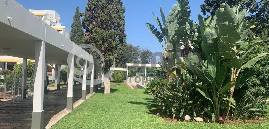 Piso de 1 habitación en Arona en alquiler con piscina - 1.200 € (Ref: 9058391)