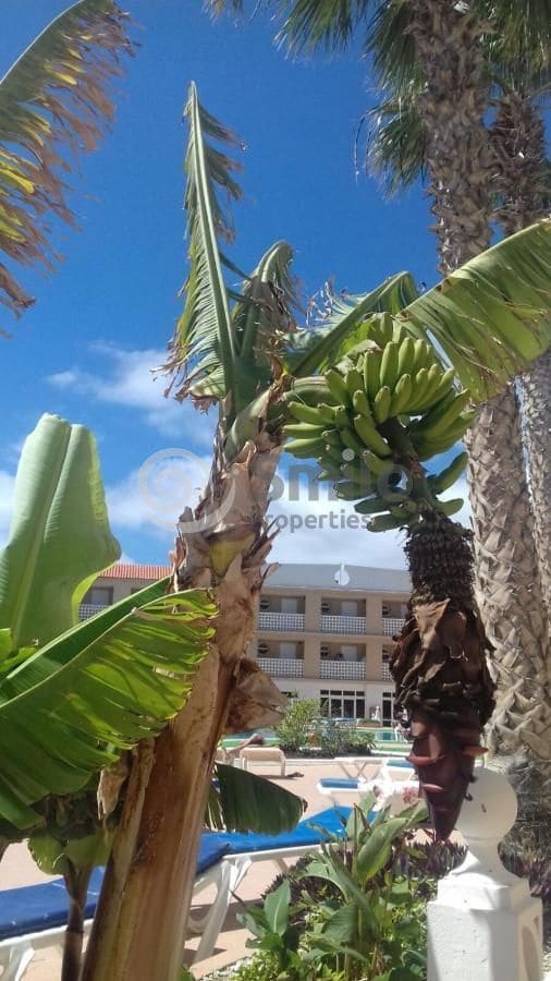 1 soverom Leilighet til salgs i Arona med svømmebasseng - € 205 800 (Ref: 9076827)