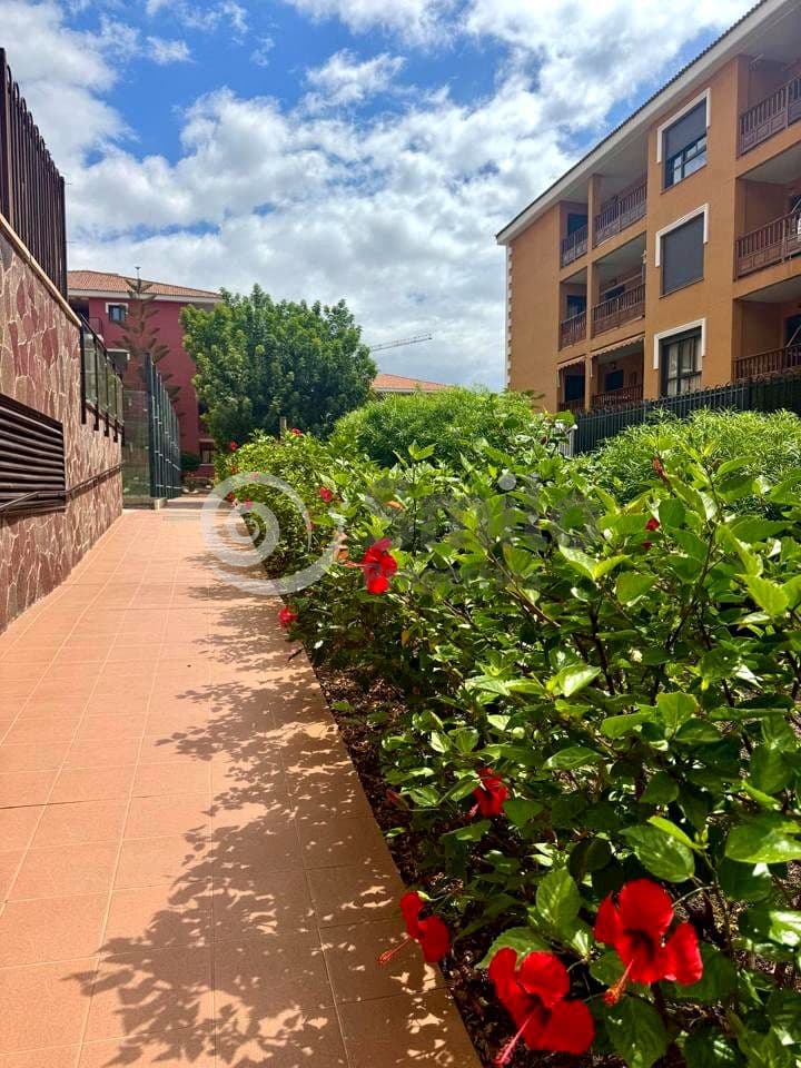 1 slaapkamer Flat te huur in Arona met zwembad garage - € 1.250 (Ref: 9341782)