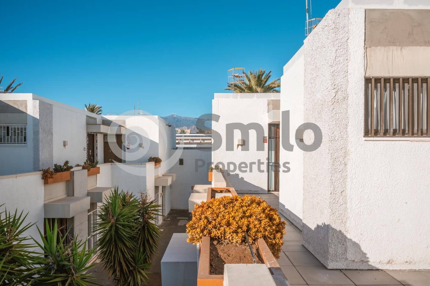 1 bedroom Flat for rent in Arona with pool - € 1,100 (Ref: 9493871)